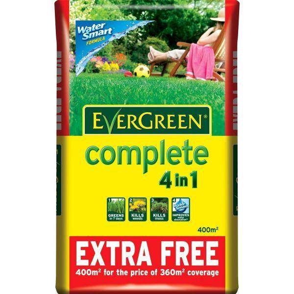 Evergreen lawn online feed