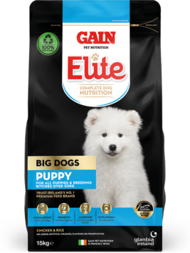 Gain Big Dog Puppy Dog Food 3kg