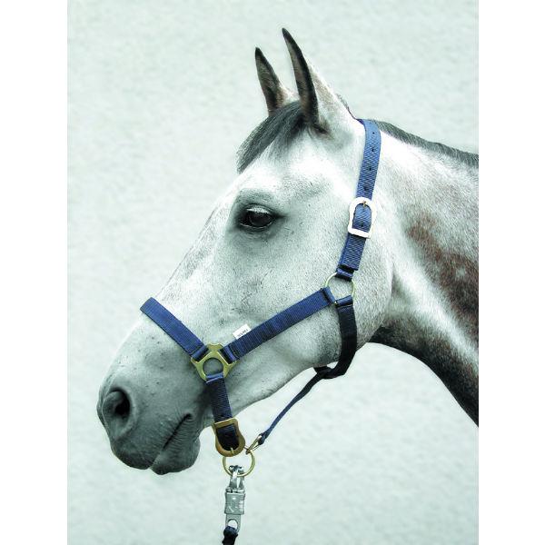 Adustable Pony Head Collar HSE 376 – Co-Op Superstores