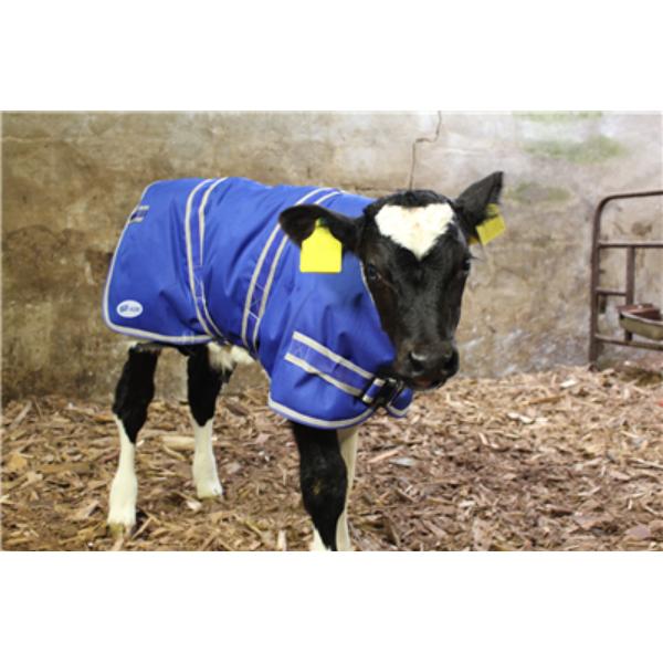 JFC Calf Jacket Large 85cm