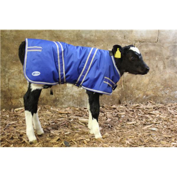 JFC Calf Jacket Large 85cm