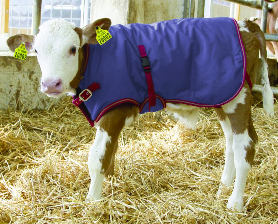 Thermo Breathable Calf Coat 70cm