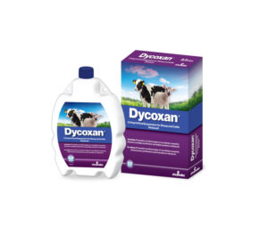 Dycoxan 2.5L