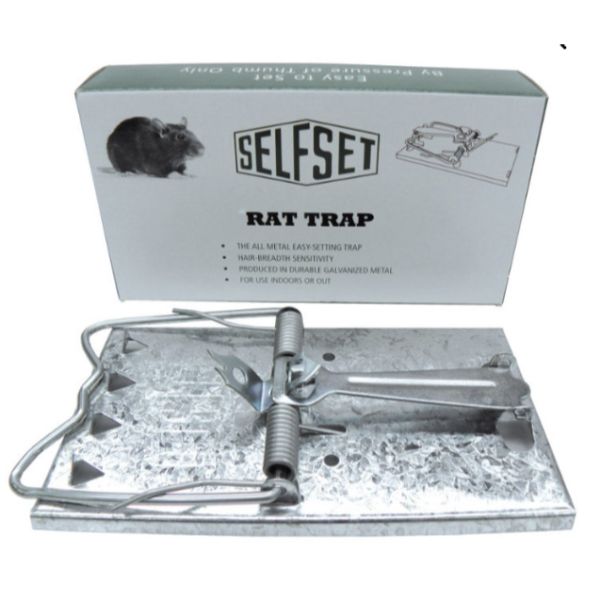 Self set Rat Trap