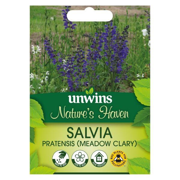 Unwins Seed Packet Natures Haven Salvia Pratensis (Meadow Clary)