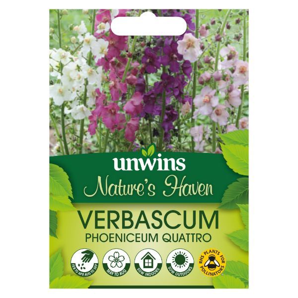 Unwins Seed Packet Natures Haven Verbascum Phoeniceum Quattro