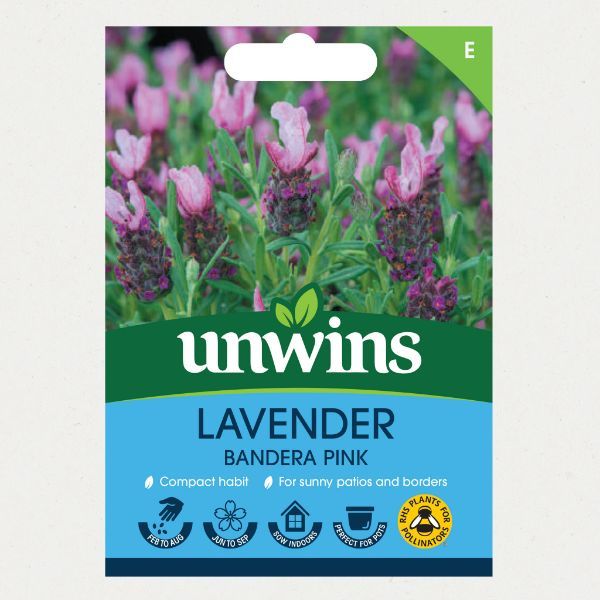 Unwins Seed Packet Lavender Bandera Deep Pink