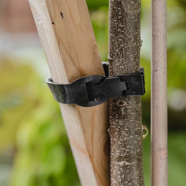 Gardman Rubberised Tree Tie 12&quot;