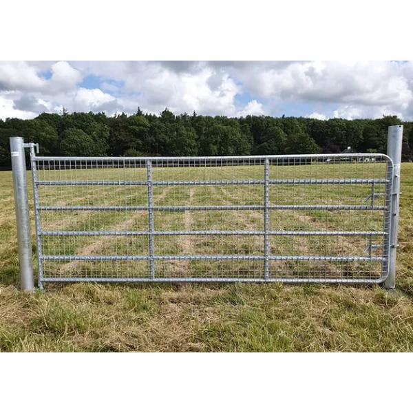 12Ft Full Mesh Galvanised Gate