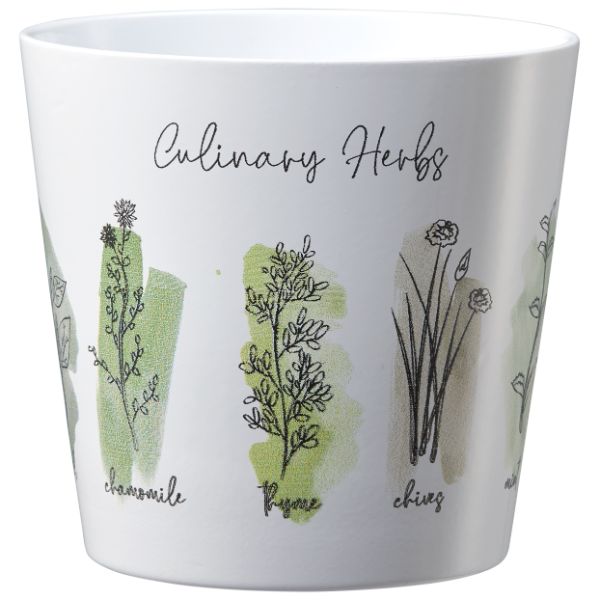 SK Indoor Pot  Dallas Culinary Culinary Herbs D14Cm X H13Cm