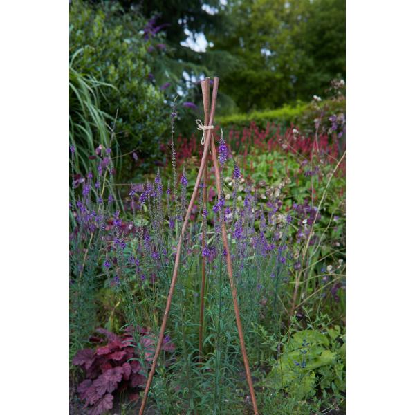 Tom Chambers 120cm Willow Plant Stake (Pack of 20)