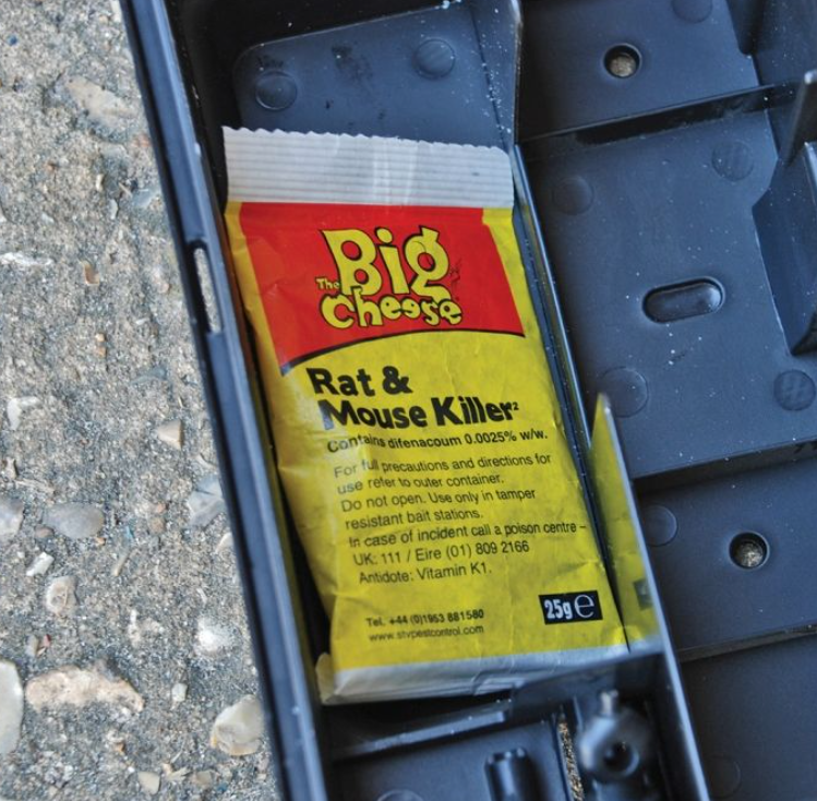 Big Cheese Rat &amp; Mouse Killer Grain Bait Sachet 6 x 25g