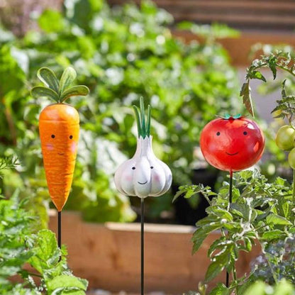 Smart Garden Veggies - Carrot, Garlic, Tomato