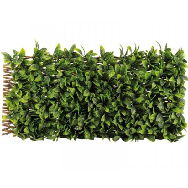 Smart Lemon Leaf Willow Trellis 180 x 60 cm