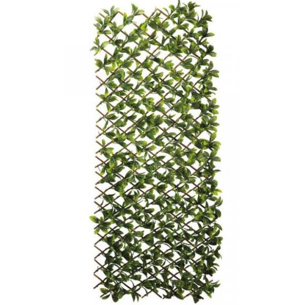 Smart Lemon Leaf Willow Trellis 180 x 60 cm