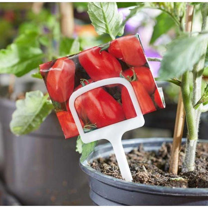 Smart Garden T Labels 10 pack