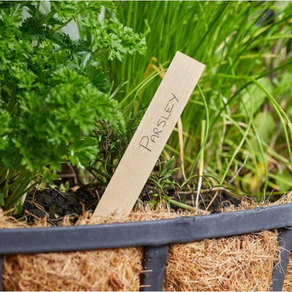 Smart Garden Wooden Plant Labels 15cm 20 pack