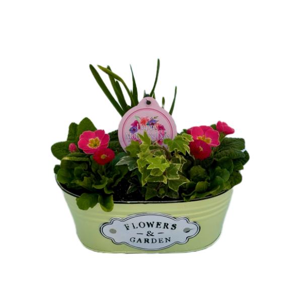 Mothers Day Planter - Green Zinc Trough