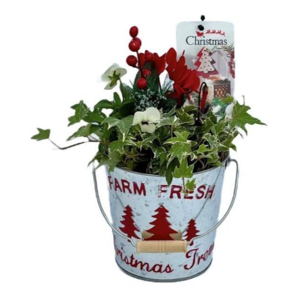 Christmas  Silver Pail, &quot;Farm Fresh Christmas Trees&quot;.