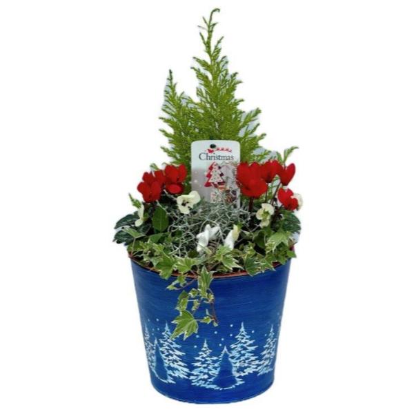 Blue Zinc Pail With Christmas Tree Design