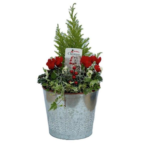 Christmas Tree Design Silver Zinc Pail