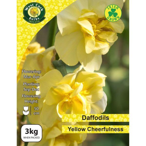 West Cork Daffodil Yellow Cheerfulness 3kg