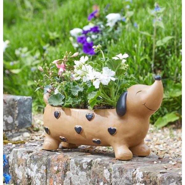 Smart Garden Flamboya Pooch Planter