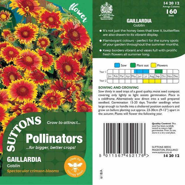 P &amp; P - Gaillardia Goblin