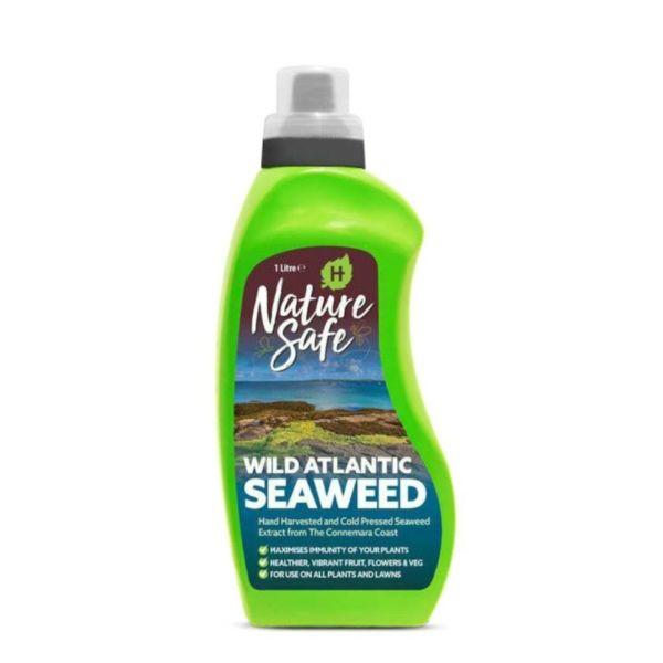 Hygeia Nature Safe Wild Atlantic Seaweed 1L – Co-Op Superstores