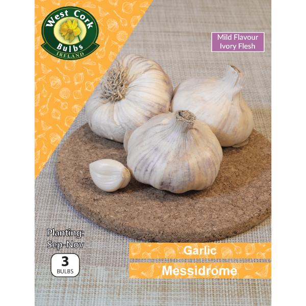 West Cork Bulbs Garlic Messidrome 3 Bulbs White Garlic