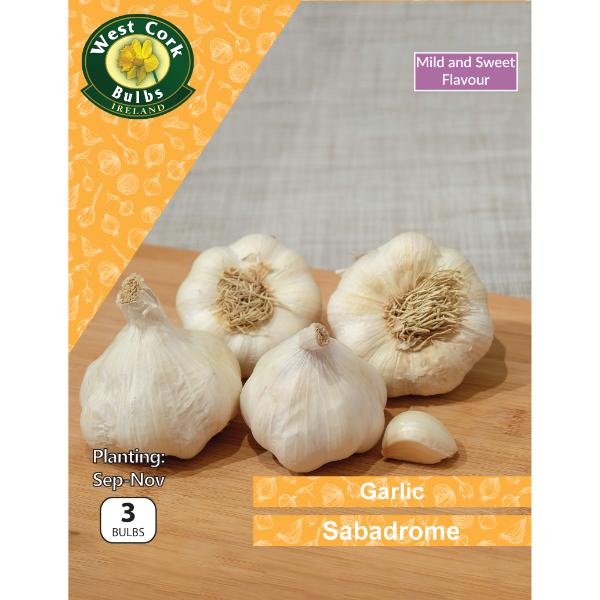 West Cork Bulbs Garlic Sabadrome 3 Bulbs White Garlic