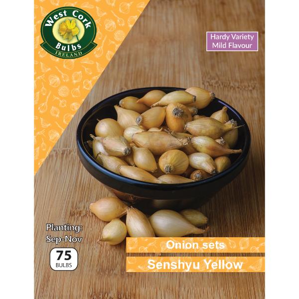 West Cork Bulbs Onion Sets Senshyu Yellow 75 Bulbs