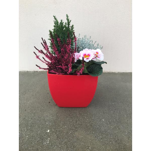 Sienna Red Christmas Planter