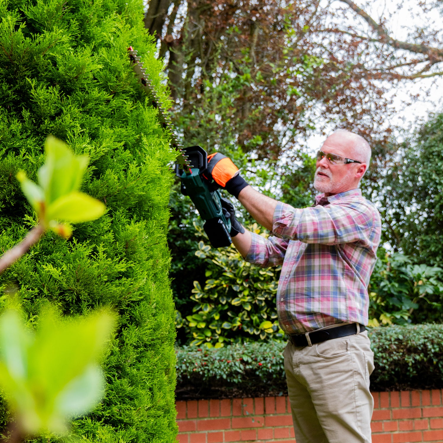 Webb Eco 20v Cordless 50cm Hedge Trimmer with 1 x 2ah battery &amp; charger