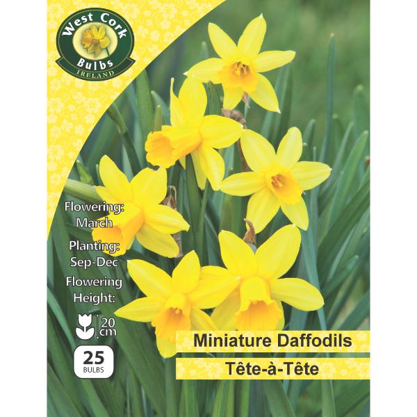 West Cork Bulbs Daffodil Tete A Tete 25 Bulbs