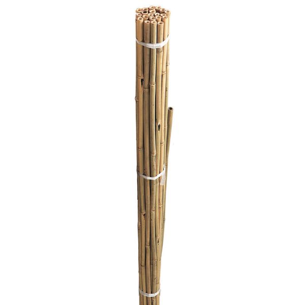 Grow It Bamboo Canes Bulk Bundle 240Cm 8&