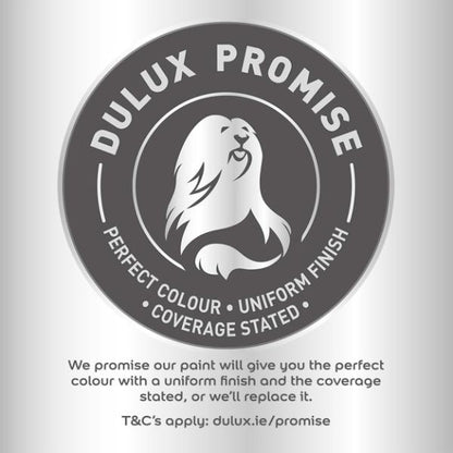 Dulux Quick Dry Undercoat White 5L