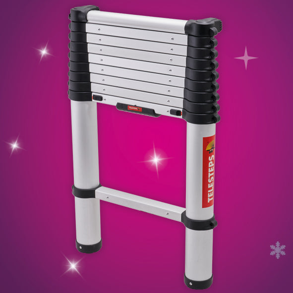 Telesteps 3m Telescopic Ladder