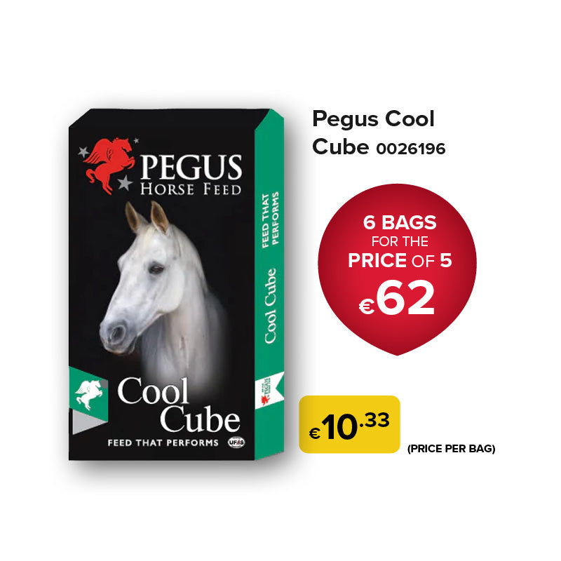 Pegus Horse Feed - Cool Cube (Bundle of 6)