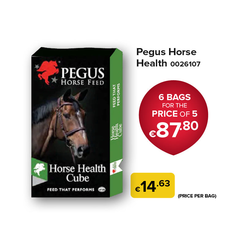 Pegus Horse Feed - Horse Health Cube (Bundle of 6)