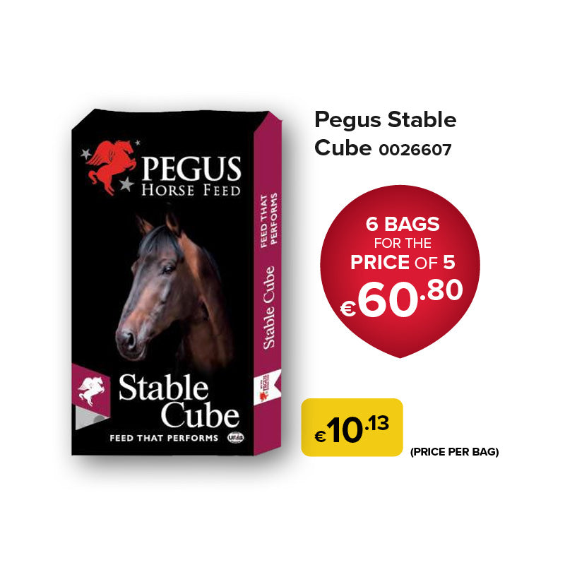 Pegus Horse Feed - Stable Cube (Bundle of 6)