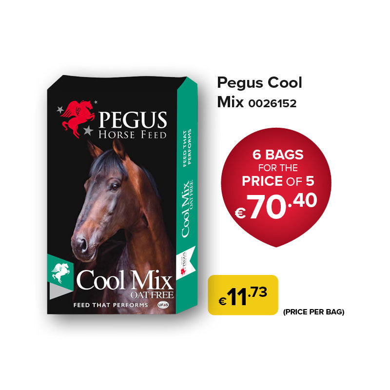 Pegus Horse Feed - Cool Mix (Bundle of 6)